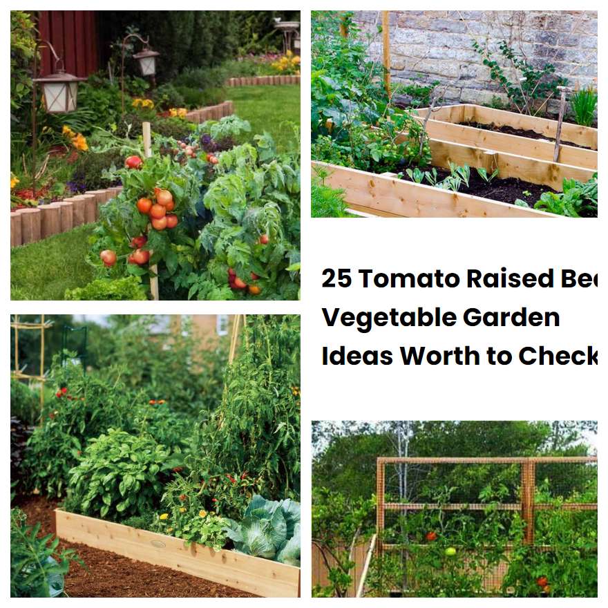 25 Tomato Raised Bed Vegetable Garden Ideas Worth to Check SharonSable