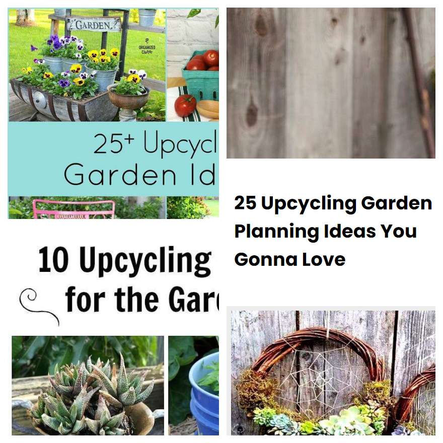 25 Upcycling Garden Planning Ideas You Gonna Love