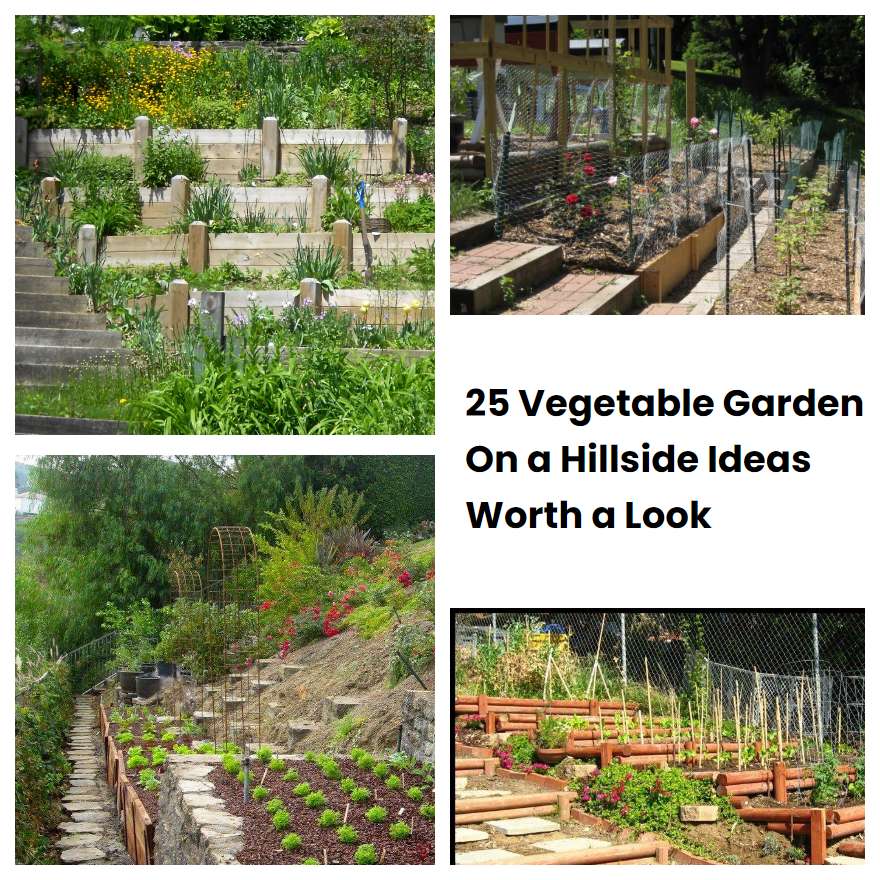 25 Vegetable Garden On a Hillside Ideas Worth a Look