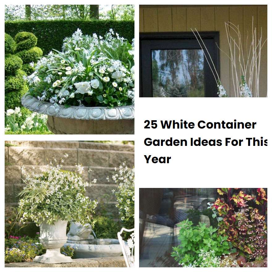 25 White Container Garden Ideas For This Year