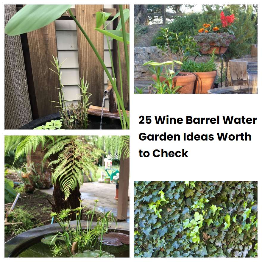 25 Wine Barrel Water Garden Ideas Worth to Check