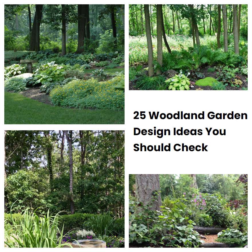 25 Woodland Garden Design Ideas You Should Check SharonSable