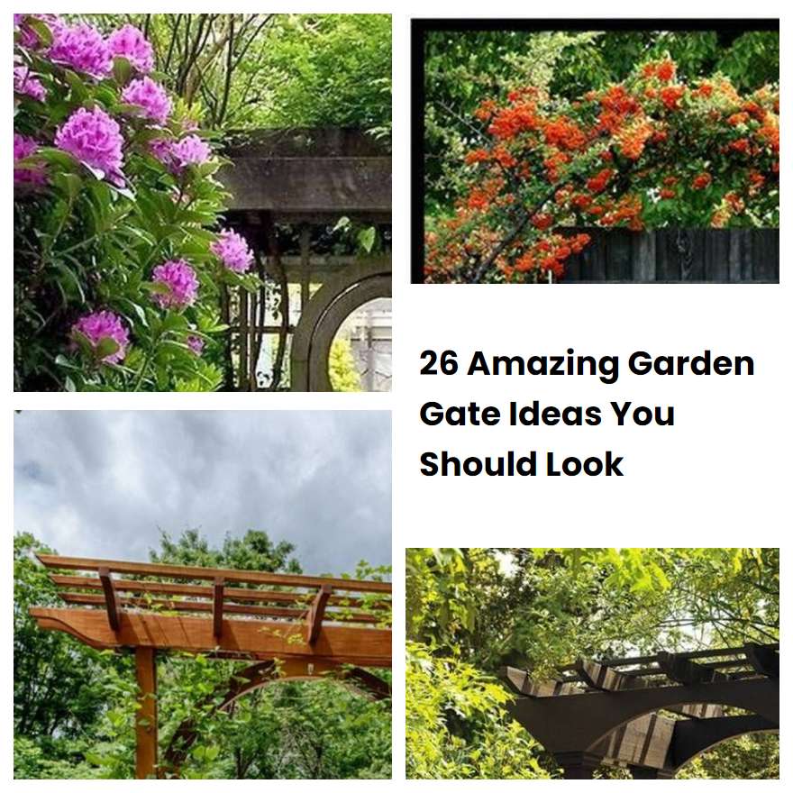 26 Amazing Garden Gate Ideas You Should Look