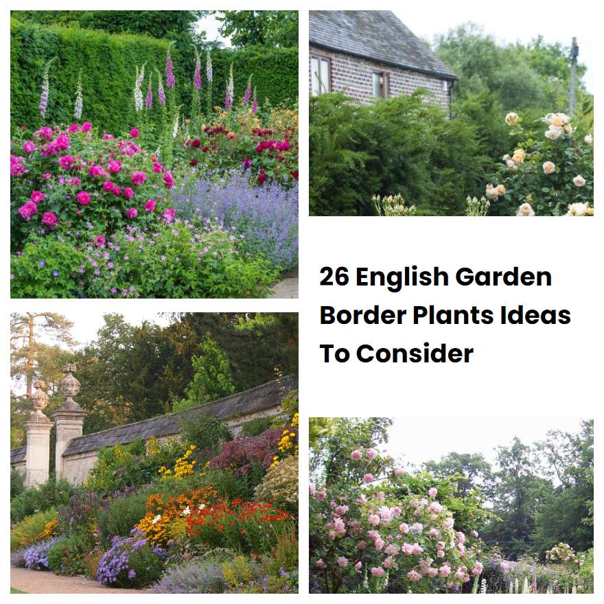 26 English Garden Border Plants Ideas To Consider SharonSable