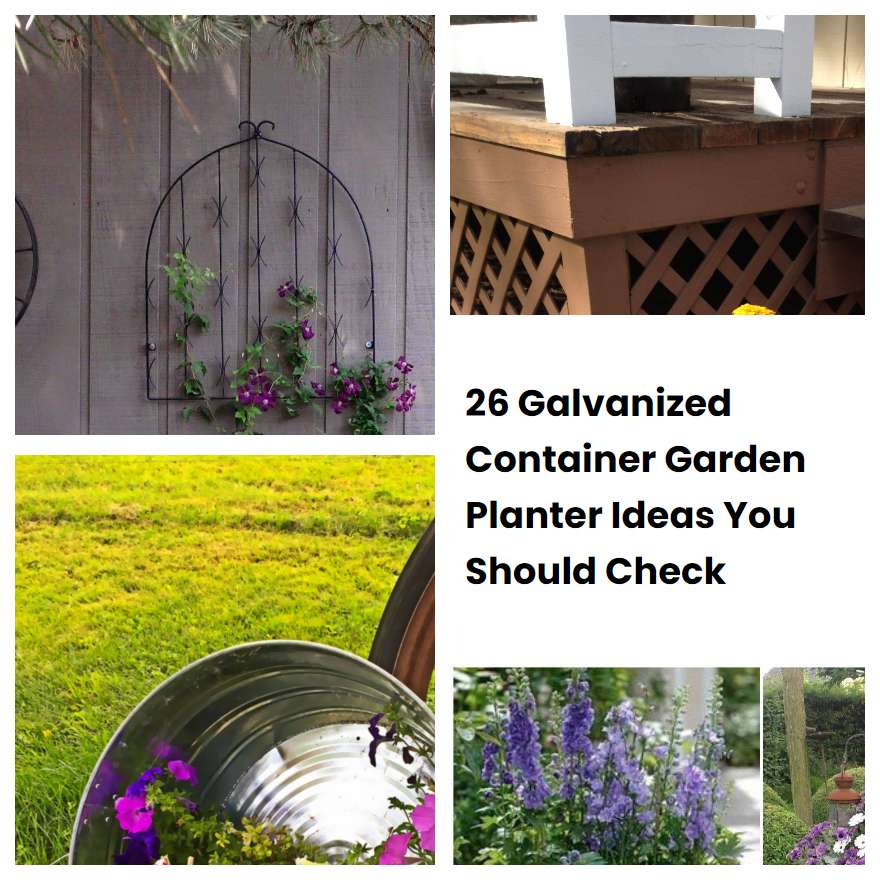 26 Galvanized Container Garden Planter Ideas You Should Check SharonSable