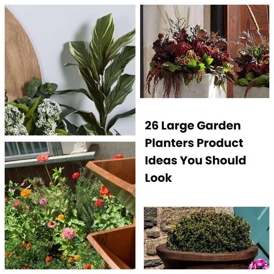 26 Large Garden Planters Product Ideas You Should Look