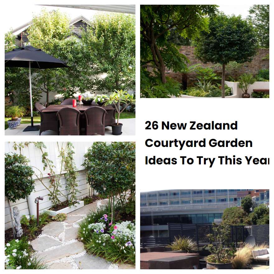 26 New Zealand Courtyard Garden Ideas To Try This Year SharonSable