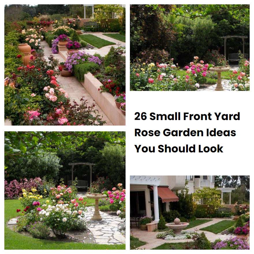 26 Small Front Yard Rose Garden Ideas You Should Look