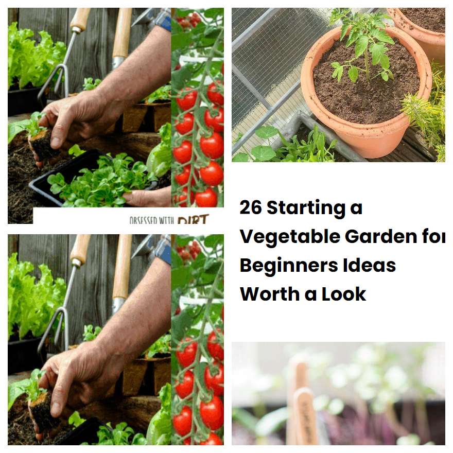 26 Starting a Vegetable Garden for Beginners Ideas Worth a Look