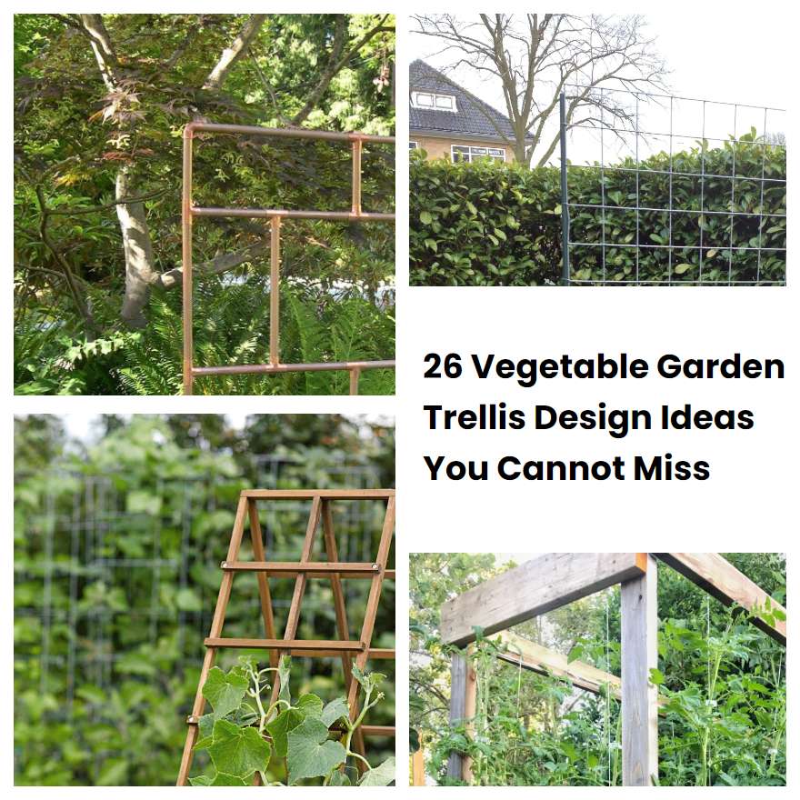 26 Vegetable Garden Trellis Design Ideas You Cannot Miss SharonSable