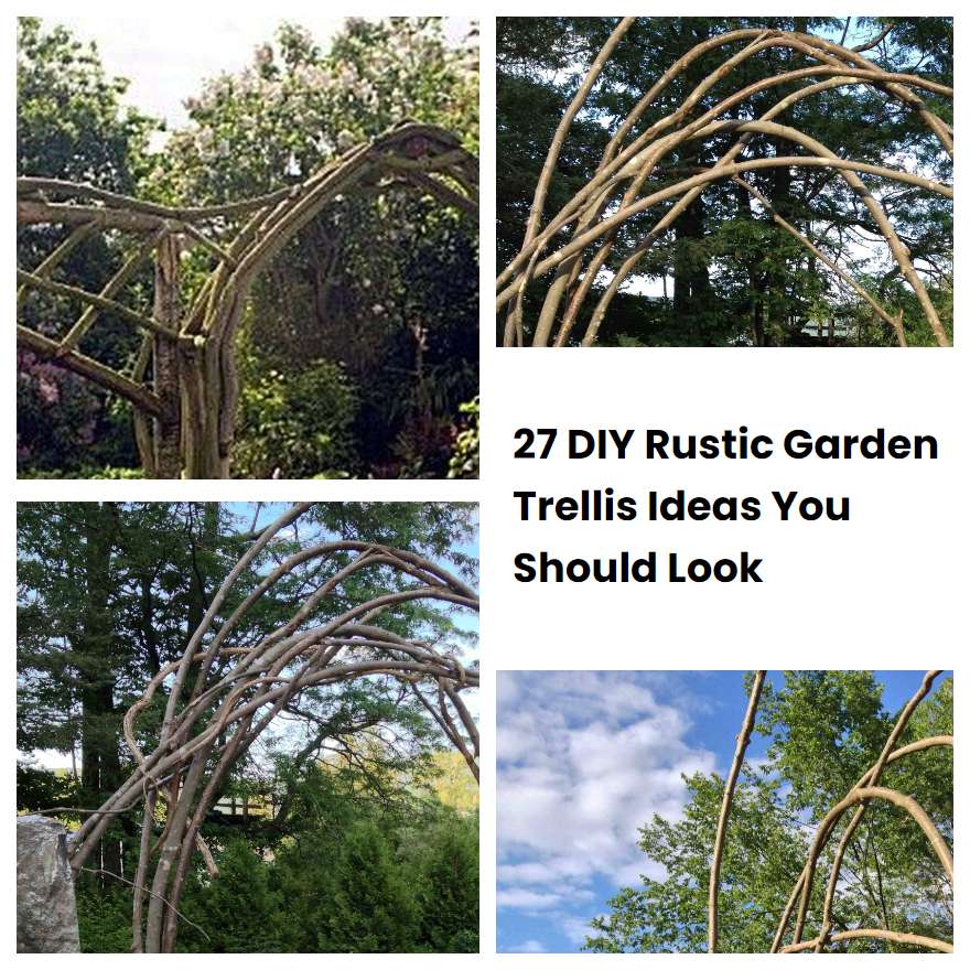 27 DIY Rustic Garden Trellis Ideas You Should Look SharonSable