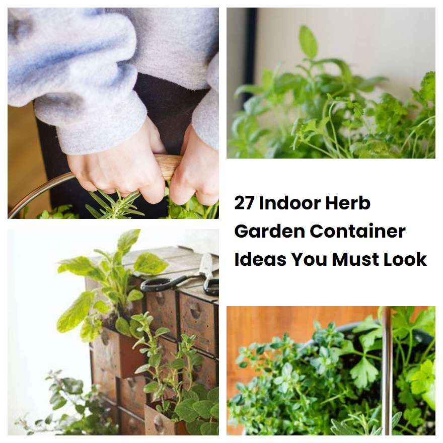 27 Indoor Herb Garden Container Ideas You Must Look