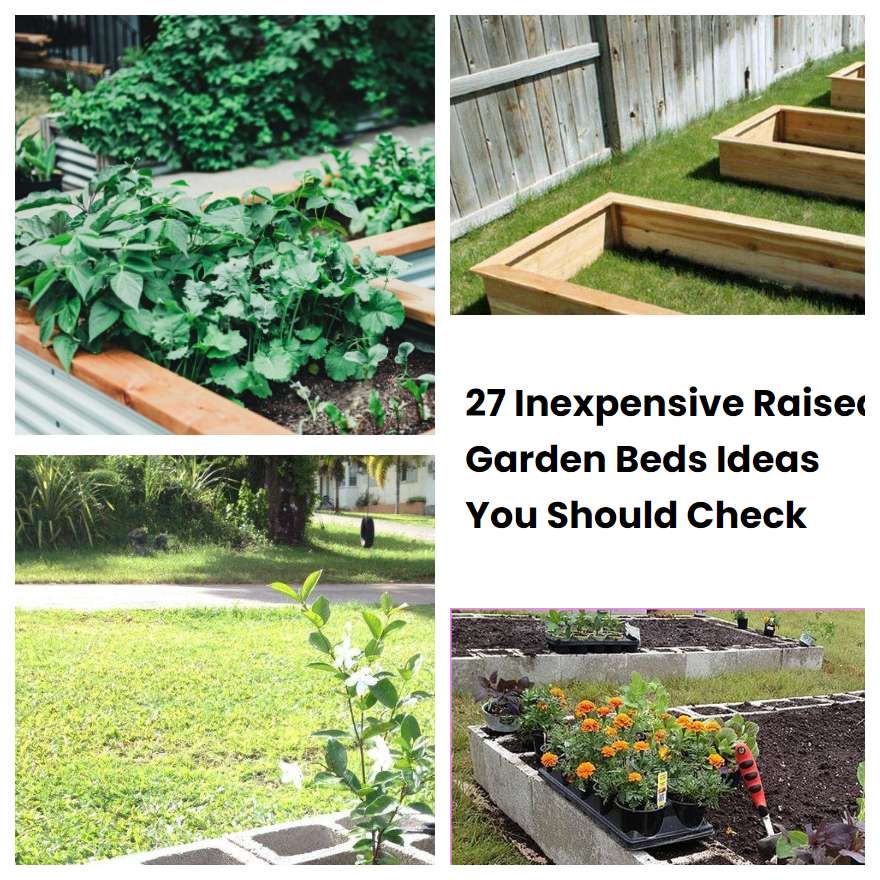 27 Inexpensive Raised Garden Beds Ideas You Should Check SharonSable