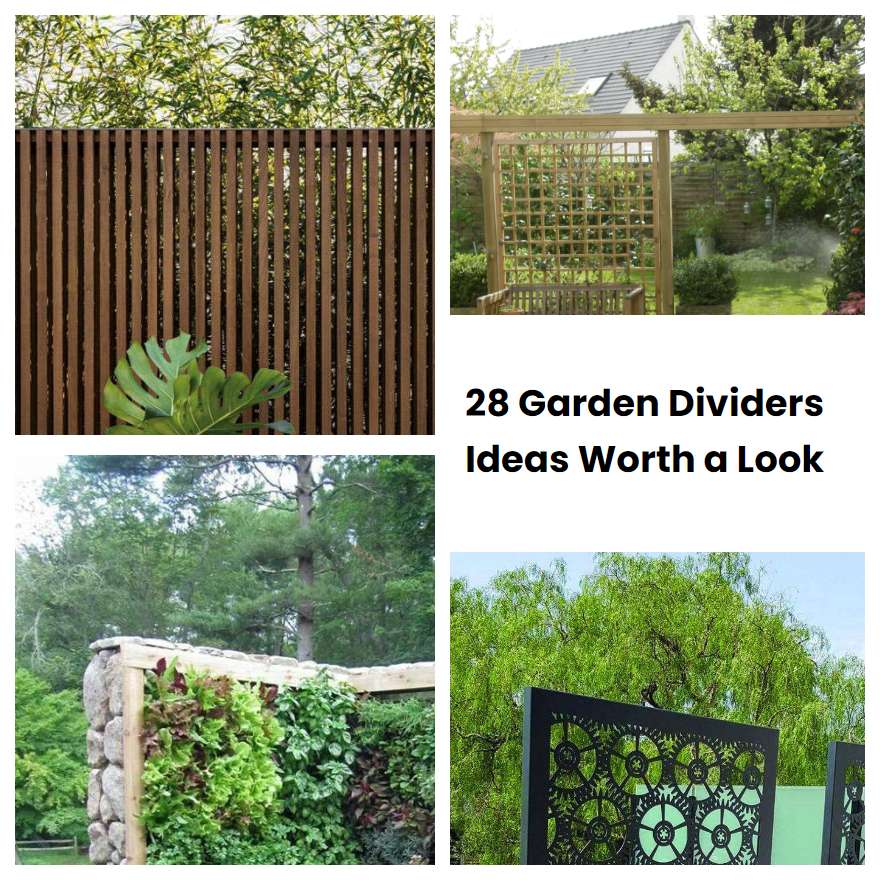 28 Garden Dividers Ideas Worth a Look SharonSable