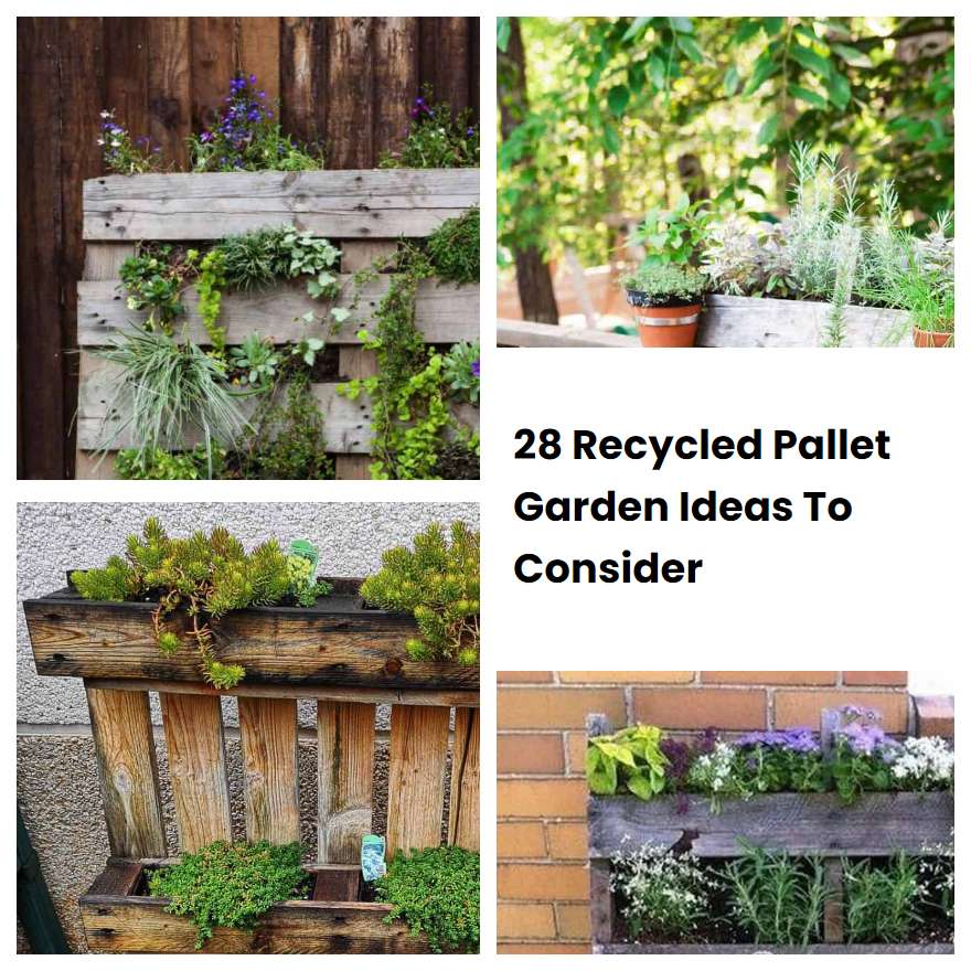 28 Recycled Pallet Garden Ideas To Consider
