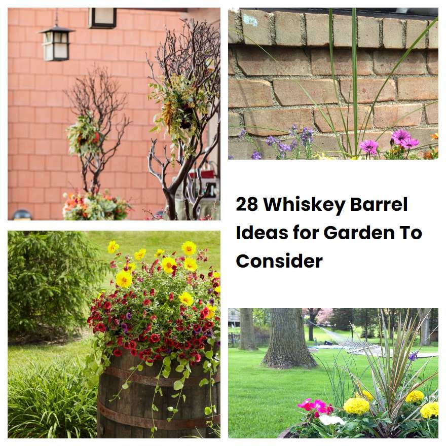 28 Whiskey Barrel Ideas for Garden To Consider | SharonSable