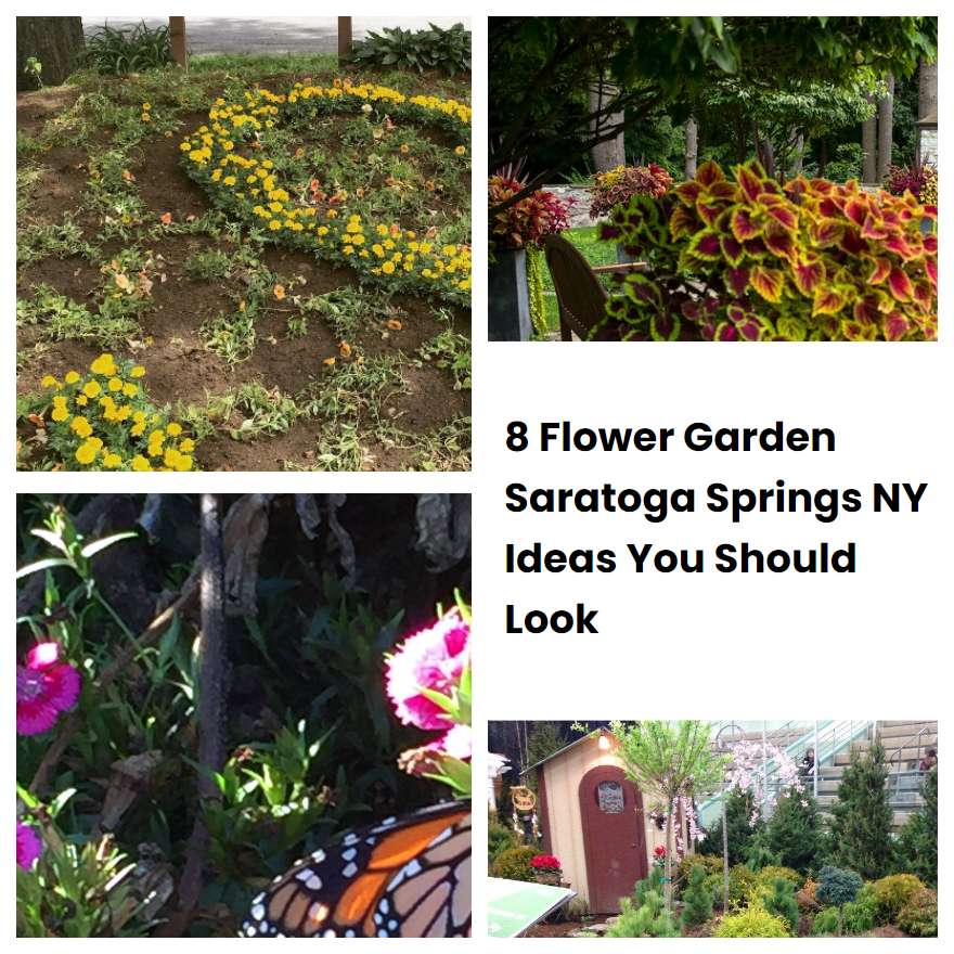 8 Flower Garden Saratoga Springs NY Ideas You Should Look SharonSable