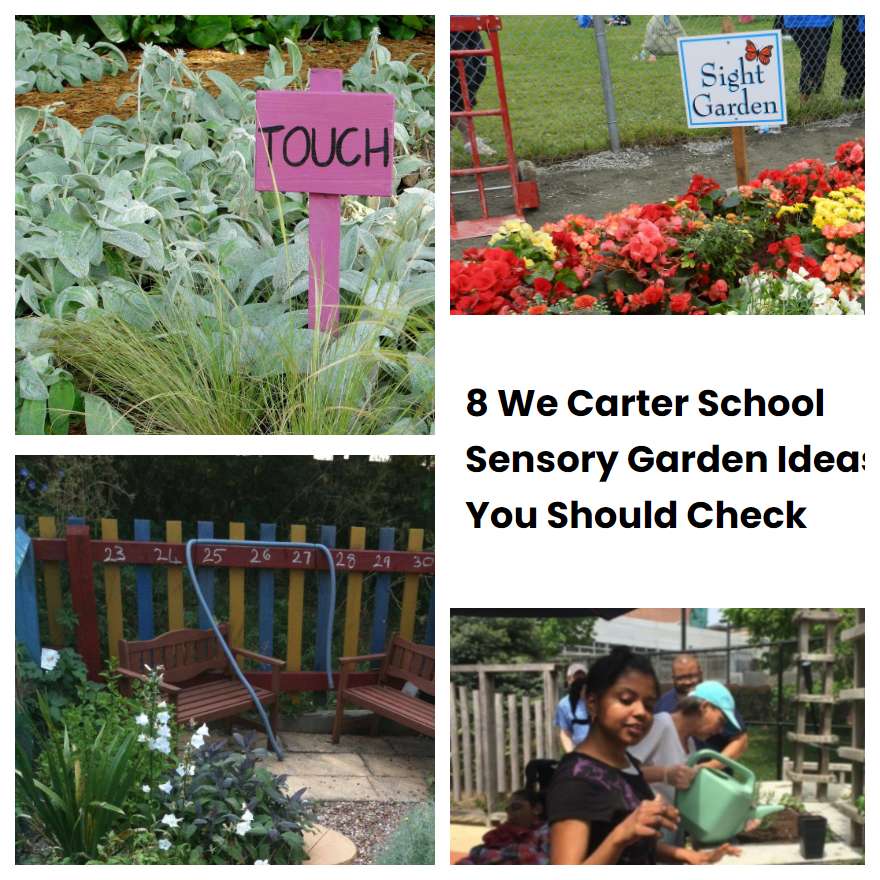 8 We Carter School Sensory Garden Ideas You Should Check